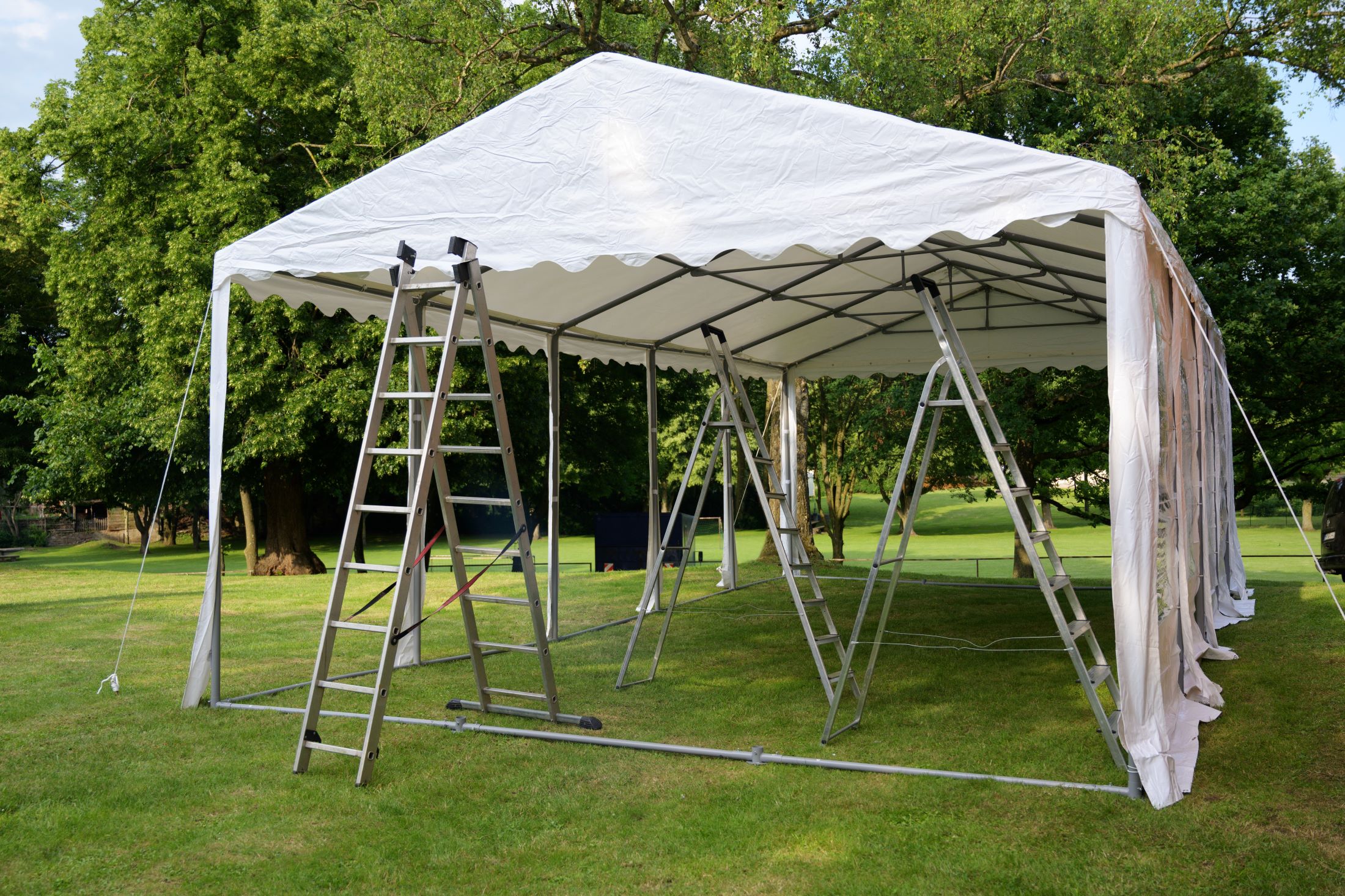 Canopy tent rental hotsell